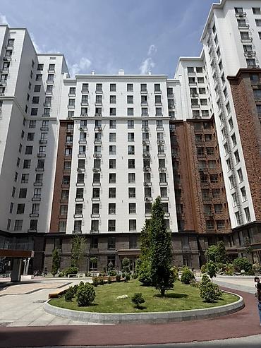 Долгосрочная аренда квартир: Студия — 3