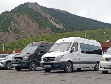 лупарик мерс цена: Автобус, Mercedes-Benz, 2008 г., 2.7 л, 16-21 мест