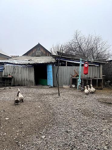 ΠΡΠΎΠ΄Π°ΠΆΠ° Π΄ΠΎΠΌΠΎΠ²: ΠΠΎΠΌ, 60 ΠΌΒ², 4 ΠΊΠΎΠΌΠ½Π°ΡΡ at lalafo.kg β 6 ΠΡΠΎΠ΄Π°ΠΆΠ° Π΄ΠΎΠΌΠΎΠ²: ΠΠΎΠΌ, 60 ΠΌΒ², 4 ΠΊΠΎΠΌΠ½Π°ΡΡ β 6