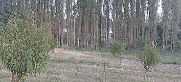 Продажа участков: 30 соток at lalafo.kg — 5 Продажа участков: 30 соток — 5