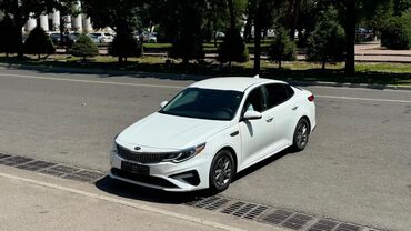 радиатор на опель вектра б: Kia Optima: 2019 г., 2.4 л, Автоматтык, Бензин