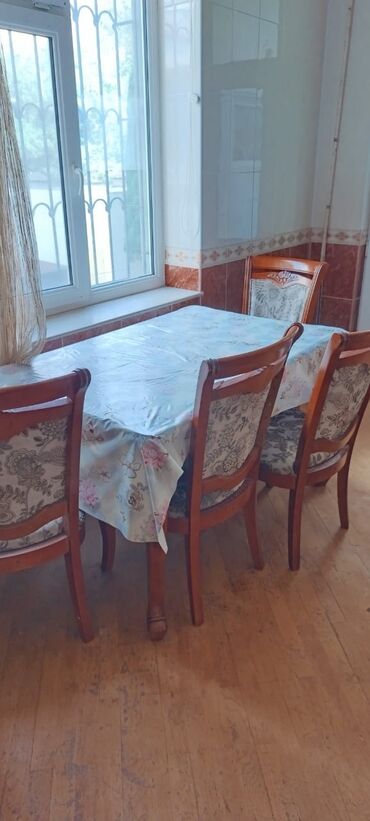 Растения: Masa 4 oturacaq ile 200azn. Unvan genclik m 2810 Nigaz