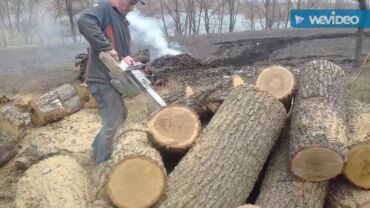 подработка промоутером: Пилю дрова есть бензопила есть бридага бетон крыша( если не беру ) lalafo.kg да подработка промоутером: Пилю дрова есть бензопила есть бридага бетон крыша( если не беру )