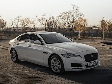 срв 2017: Jaguar XF: 2017 г., 2 л, Автомат, Дизель, Седан — 2