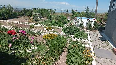 участки г бишкек: 5 соток, Красная книга — 10