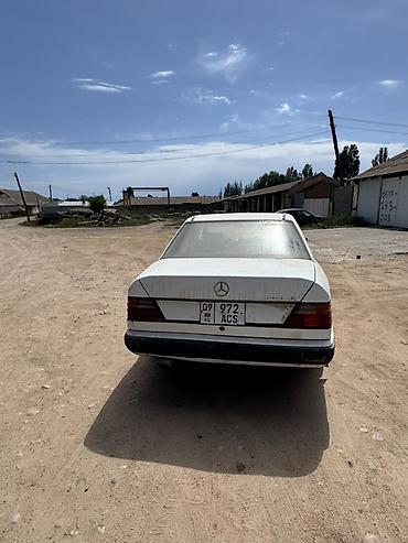 ск шерой: Mercedes-Benz E-Class: 1988 г., 3 л, Механика, Дизель, Седан — 1