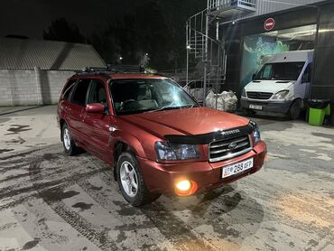 Subaru: Subaru Forester: 2003 г., 2 л, Автомат, Газ, Кроссовер