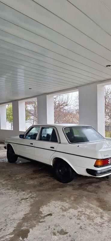 Mercedes-Benz: Mercedes-Benz 250: 2.5 l | 1981 il Sedan — 5