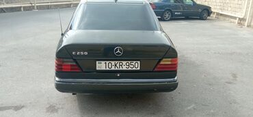 etir: Mercedes-Benz E 250: 2.5 л | 1993 г. Седан