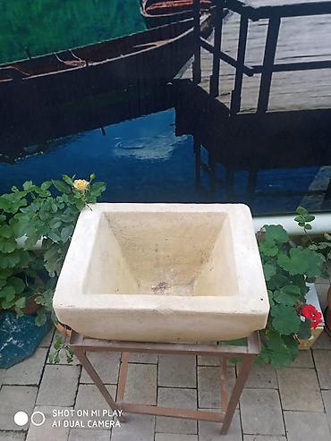 cokə ağacı satılır: Su dawl satllr.altlgl ilə birlikdə.vtdp var.endirim olar — 1