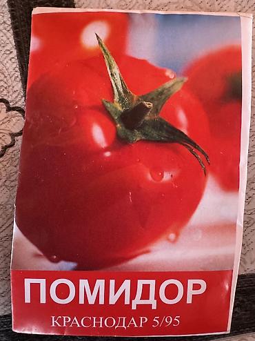 toxumluq bugda: 🌿 4 Mövsüm Toxumları Pul verib kimyəvi göyərti alma! Özün ək, təmiz — 4