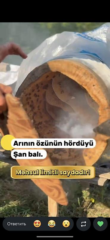 şam balı: Şan balı – arının özünün hördüyü təbii bal - Məhsul: Şan balı (bal — 2