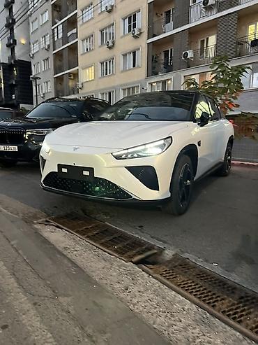 hozon: Hozon Neta L: 2024 г., 1.5 л, Автомат, Электромобиль, Кроссовер — 1