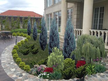 Ağaclar: Dekarativ agaclarin satisi qazon torpaq torf diger gubrelerin satisi — 17