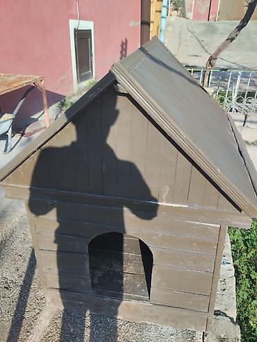 Taxta it evi - Material: tamamilə taxtadan yığılma, üstü su