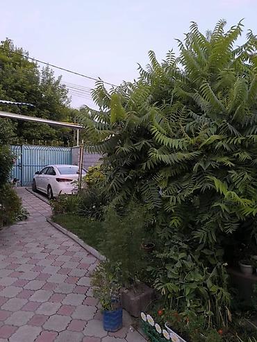 Үйлөр: 4 бөлмө, 67 м², 4 соток, Бишкек, Турбаза Кыймылсыз мүлк агенттиги — 6