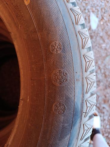 amg 18: Зимние шины MAxtrek 205/60 R16 96H (Extra Load) - Тип: зимние — 1