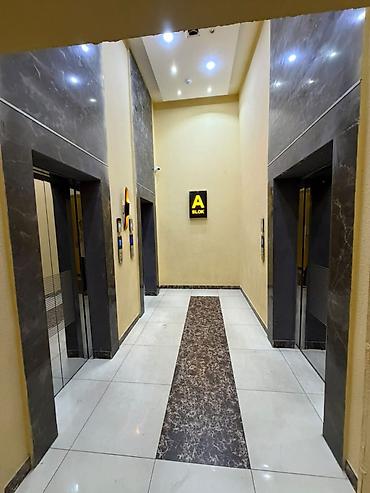 разин: 3 комнаты, Новостройка, 240 м² — 3
