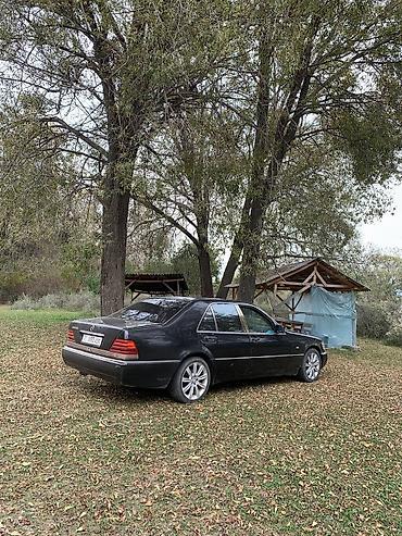 Mercedes-Benz C-Class: 1992 г., 3.2 л, Кол менен иштөөчү, Дизель — 5