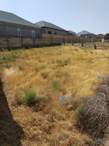 Torpaq sahələrinin satışı: 6 sot, Kənd təsərrüfatı, Mülkiyyətçi, Kupça (Çıxarış), Texniki pasport — 7