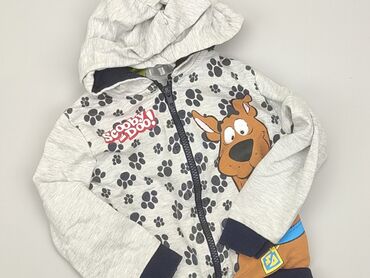 lidl kombinezon zimowy chłopięcy: Sweatshirt, Pepco, 2-3 years, 92-98 cm, condition - Good