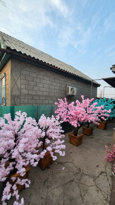 Декоративные цветы: Сакура искусственное дерево высота 2 м ширина 2 м цена от 1000 сом at lalafo.kg — 28 Декоративные цветы: Сакура искусственное дерево высота 2 м ширина 2 м цена от 1000 сом — 28