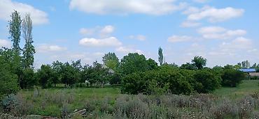 Bağ evlərinin satışı: Göyçay, 100 kv. m, 2 otaqlı, Hovuzsuz — 5