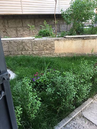 Продажа квартир: 4 комнаты, 88 м², 106 серия улучшенная, 1 этаж, Дизайнерский ремонт — 12