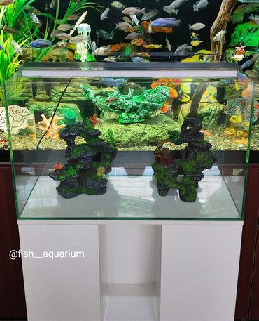 аквариум с рыбами: Аквариумы, тумбы на заказ. Прекрасный подарок, для длма, офиса и так