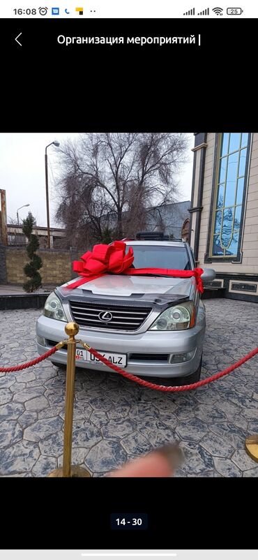 Организация мероприятий: Организация мероприятий | Оформление мероприятий, Аниматоры, Гелевые шары — 17