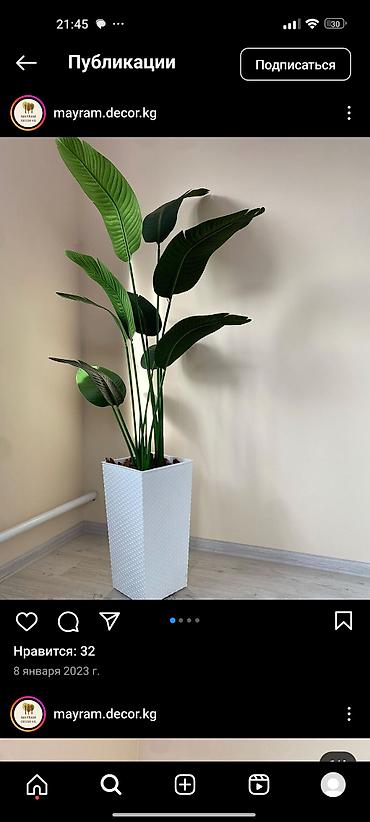 Декоративные цветы: Искусственные деревьяи цветы для вашего интерьера Адрес: г. Бишкек. ул — 10