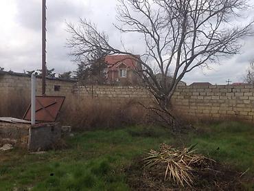 caravan satışı: 15 sot, Tikinti, Kupça (Çıxarış) — 7