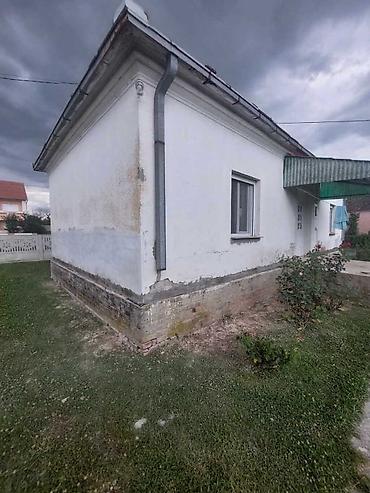 greje: HIDROIZOLACIJA MALETIC - masinskim presecanjem zidova i postavkom — 6