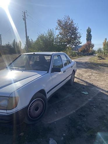 k5 2018: Mercedes-Benz W124: 1988 г., 2.3 л, Механика, Бензин, Седан — 3