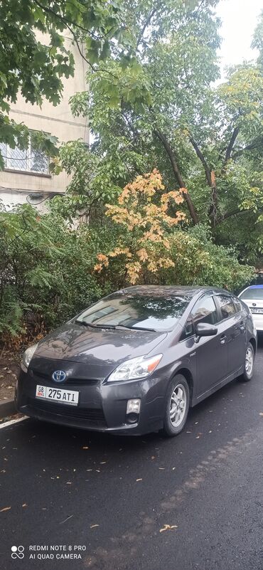техническая резина: Toyota Prius: 2011 г., 1.8 л, Вариатор, Гибрид, Седан