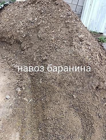кой дорпер: Овечий навоз (бараний) — натуральное органическое удобрение для — 1