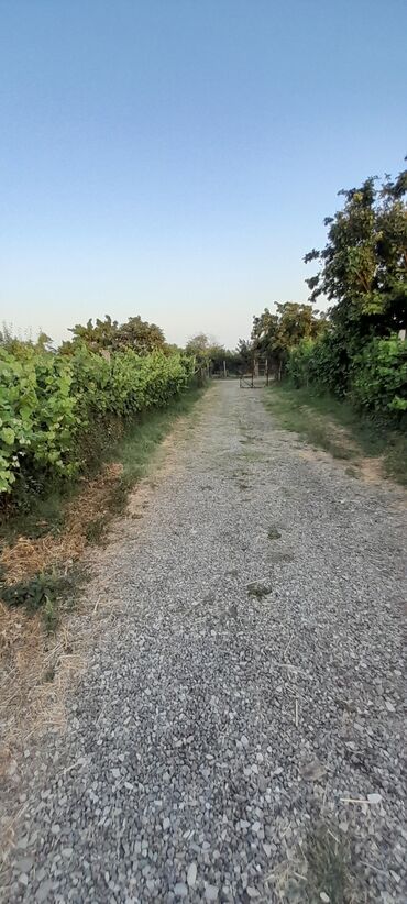 Həyət evləri və villaların satışı: 6 otaqlı, 270 kv. m, Yeni təmirli — 25