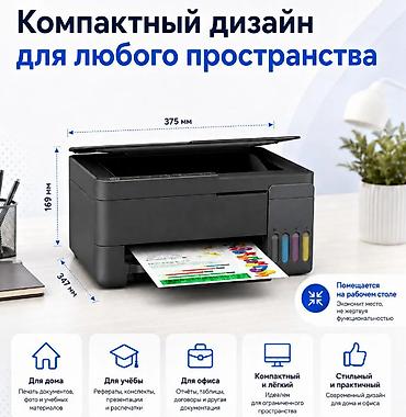 zebra: Новый — 4