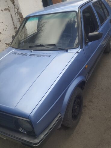 Volkswagen: Volkswagen Golf: 1990 г., 1.8 л, Механика, Бензин, Хэтчбэк