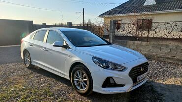 соната 2010: Hyundai Sonata: 2017 г., 2 л, Автомат, Газ, Седан