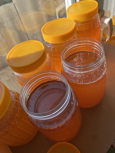 бал кымыз цена: 🍯 ТАЗА ТОКТОГУЛ БАЛЫ САТЫЛАТ — ДААРЫ КАДЫРИ КҮЧТҮҮ! 🍯 Улуттук Токтогул — 1