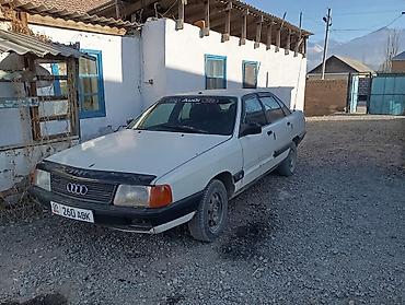 эшик б у: Audi 100: 1990 г., 1.8 л, Кол менен иштөөчү, Бензин, Седан — 3