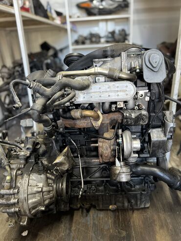 Двигатели, моторы и ГБЦ: Дизельный мотор Volkswagen 1999 г., 1.9 л, Б/у, Оригинал, Германия — 6