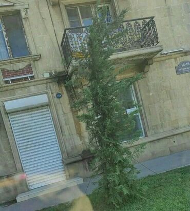 Mağazalar: Nerimanovda H.Eliyev Prospektin bawinda 5/1 birinci Bina H.Eliyev — 3