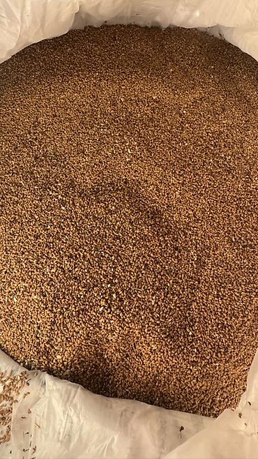 арпа тук: Ячменный солод (в мешках) - Тип: солод из ячменя (spring barley) — 2