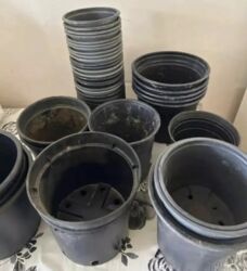 Bitkilər üçün dibçəklər: Gül və dibçək qabları satılır.Plastik,kauçuk materyaldır.Sayı 50 — 6