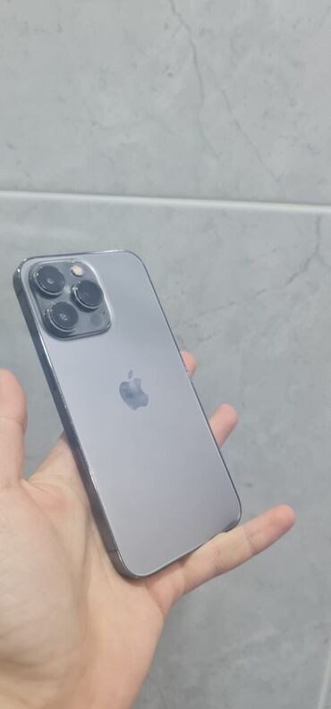 Apple iPhone: IPhone 13 Pro, 256 GB, Graphite, Face ID