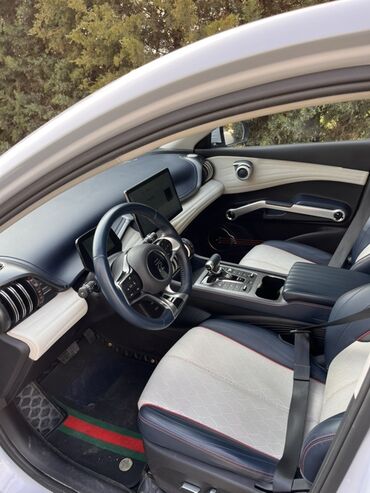 BYD: BYD Yuan Plus: 2022 г., Электромобиль — 8