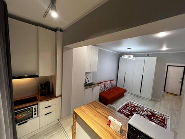 аалам строй псо: 1 комната, 27 м², Элитка, 4 этаж, Евроремонт