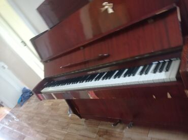 тар музыкальный инструмент купить: Fortepiano 150manatadır real alıcılara endirim olunacaq işlək